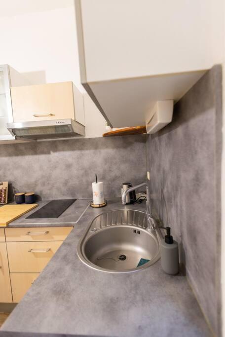 Appartement Avenue Republique La Aux Pieds Des Volcans Au Calme